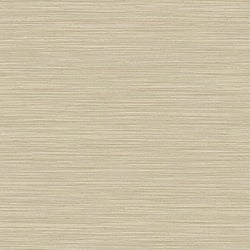 Galerie Wallcoverings Product Code 35972 - Ornamenta Wallpaper Collection - Cream Gold Colours - Horizontal Texture Design