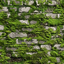 Galerie Wallcoverings Product Code 45731 - Bricks And More Wallpaper Collection - Green Colours - Stone optic Design