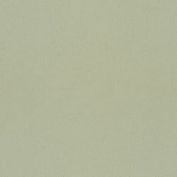 Galerie Wallcoverings Product Code: 77005 - Fagring Wallpaper Collection Galerie Wallcoverings Product Code 77005 - Fagring Wallpaper Collection - Pistachio Colours - Pistage Design