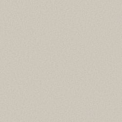 Galerie Wallcoverings Product Code DC30134 - Designer Colours Wallpaper Collection - Beige Colours - Even Texture Design