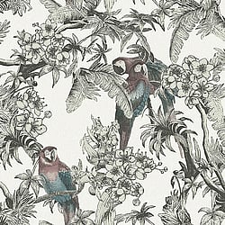 Galerie Wallcoverings Product Code ED13085 - Ted Baker Eden Wallpaper Collection - Cream Green Red Turquoise Black Colours - Macaw Design