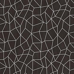 Galerie Wallcoverings Product Code G67694 - Special Fx Wallpaper Collection - Black Silver Colours - Glitter Web Design