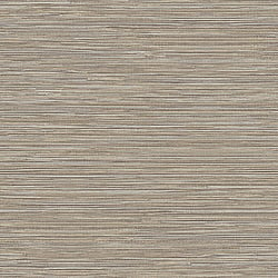 Galerie Wallcoverings Product Code TA25041 - Shades Of Colour Wallpaper Collection - grey/beige Colours - Grasscloth Design