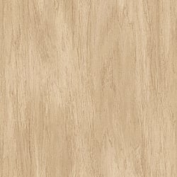 Galerie Wallcoverings Product Code WW22223 - Woods And Wicker Wallpaper Collection - Beige Colours - Wood Effect Motif Design