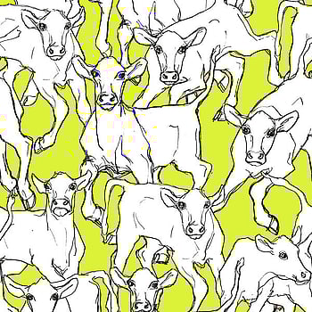 Galerie Wallcoverings Product Code 14105 - Marimekko 5 Wallpaper Collection - Green White Black Colours -  