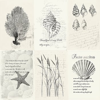 Galerie Wallcoverings Product Code 21020 - Skagen Wallpaper Collection - Cream Dark Grey Colours -  