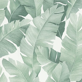 Galerie Wallcoverings Product Code 31650 - The New Design Book Wallpaper Collection - white green Colours -  