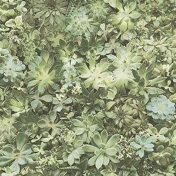 Galerie Wallcoverings Product Code 7320 - Evergreen Wallpaper Collection - Green Colours -  