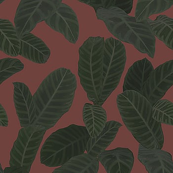 Galerie Wallcoverings Product Code ED13125 - Ted Baker Eden Wallpaper Collection - Red Green Colours -  