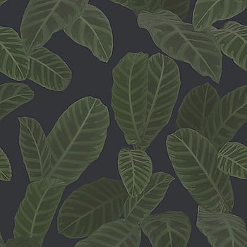 Galerie Wallcoverings Product Code ED13126 - Ted Baker Eden Wallpaper Collection - Navy Blue Green Colours -  